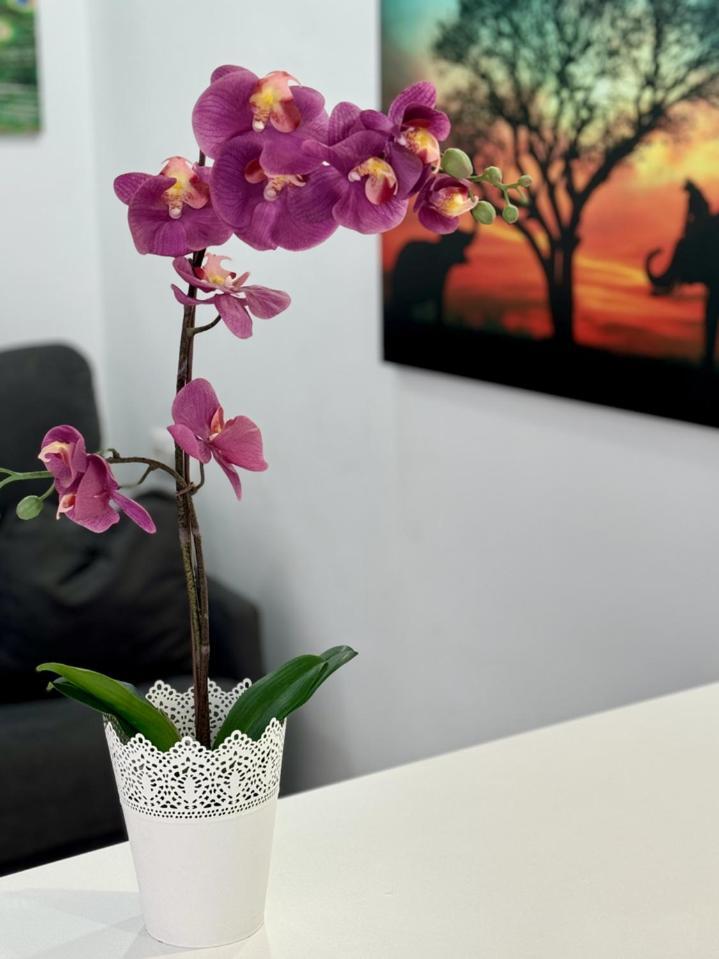 San Eugenio Charming Renovated Apartment Tenerife Costa Adeje Dış mekan fotoğraf