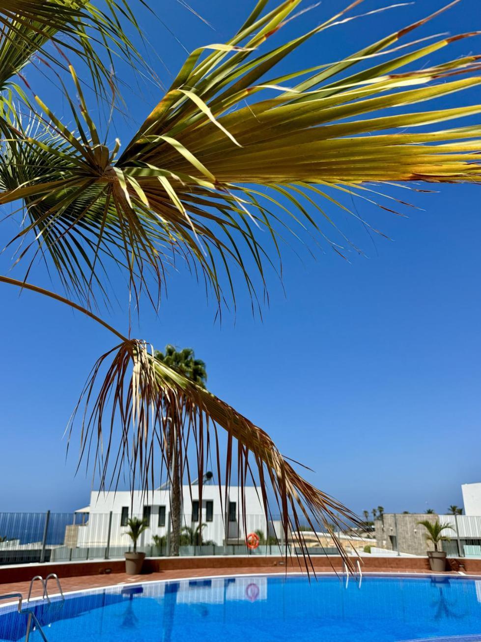 San Eugenio Charming Renovated Apartment Tenerife Costa Adeje Dış mekan fotoğraf