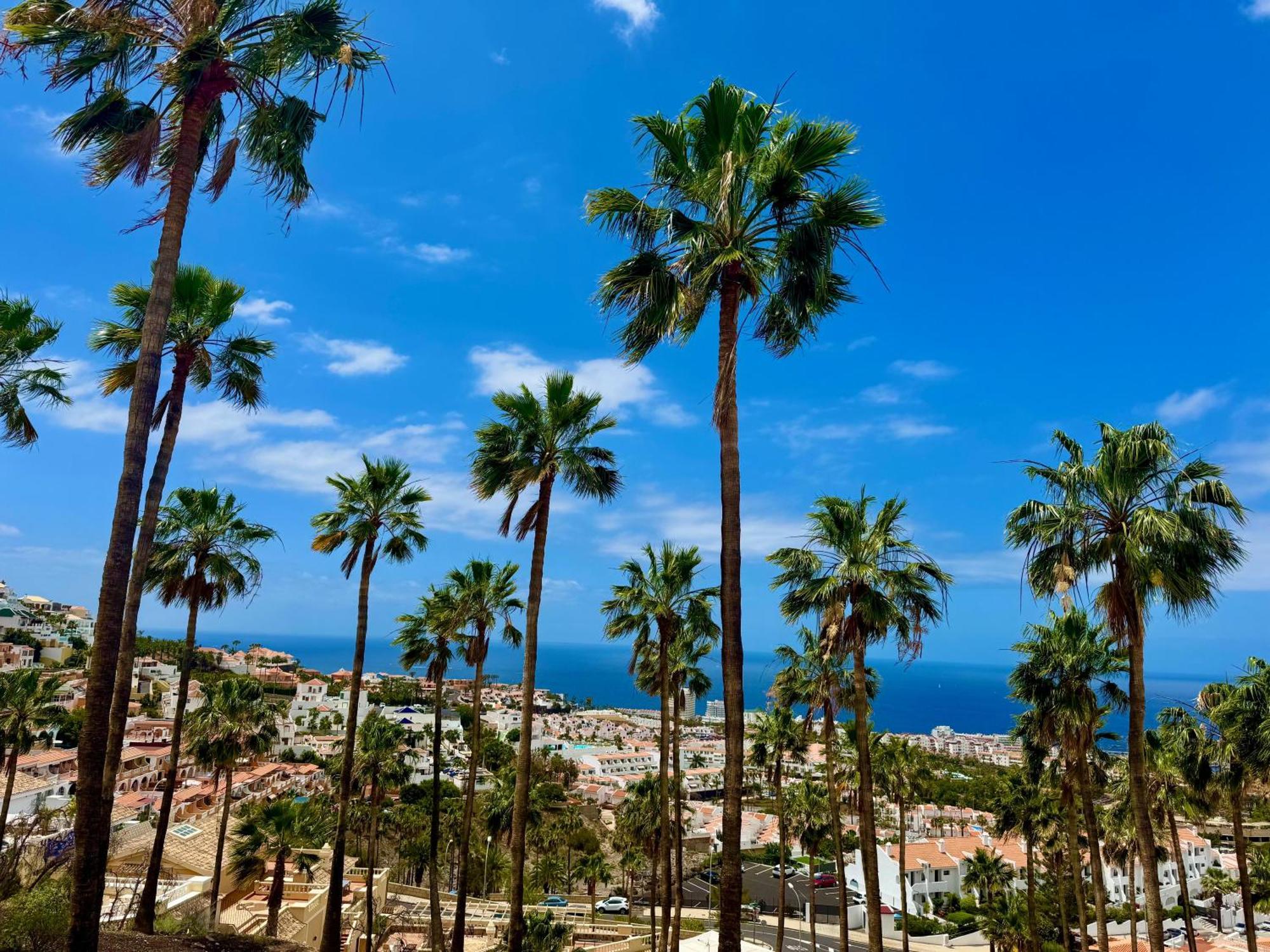 San Eugenio Charming Renovated Apartment Tenerife Costa Adeje Dış mekan fotoğraf