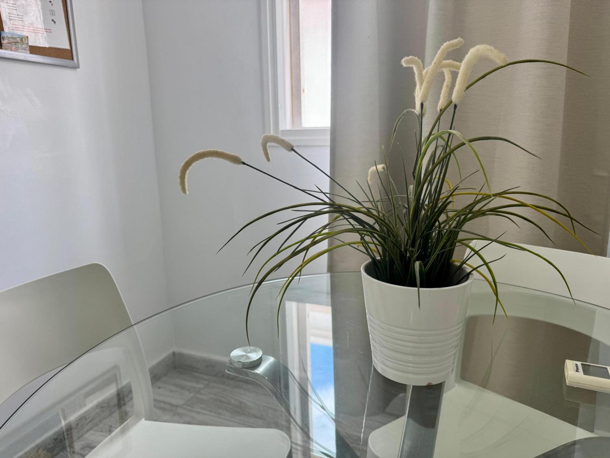San Eugenio Charming Renovated Apartment Tenerife Costa Adeje Dış mekan fotoğraf