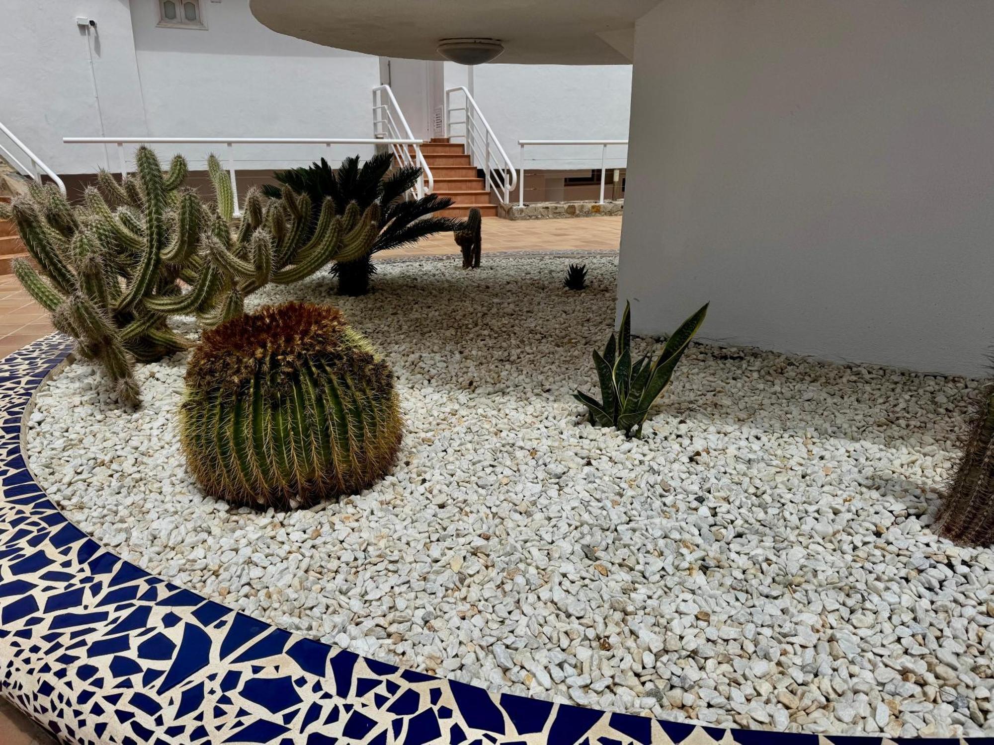 San Eugenio Charming Renovated Apartment Tenerife Costa Adeje Dış mekan fotoğraf